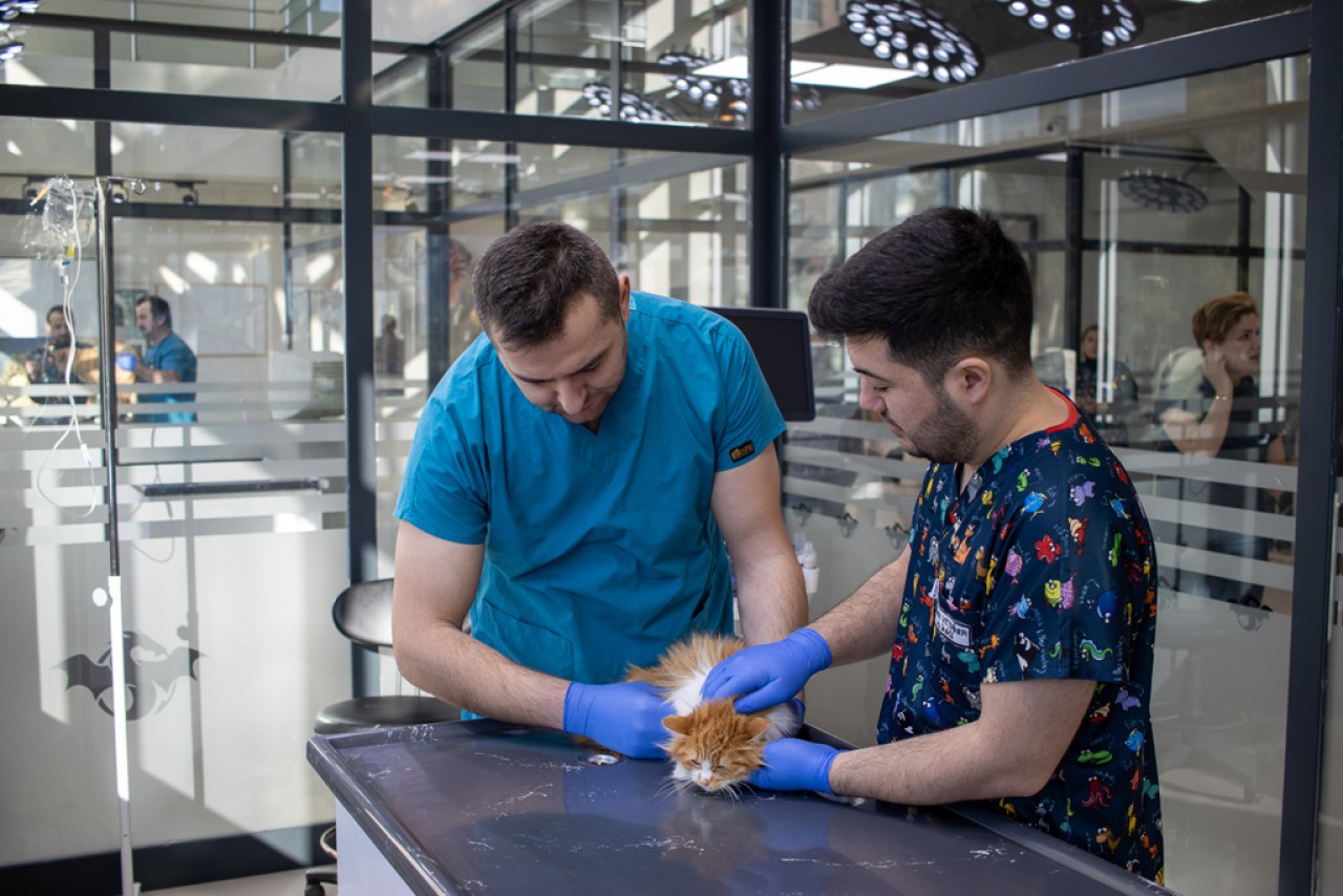  Kabuğuna Sığmayan Bir Veteriner Kliniği: Ejder Veteriner Kliniği 
