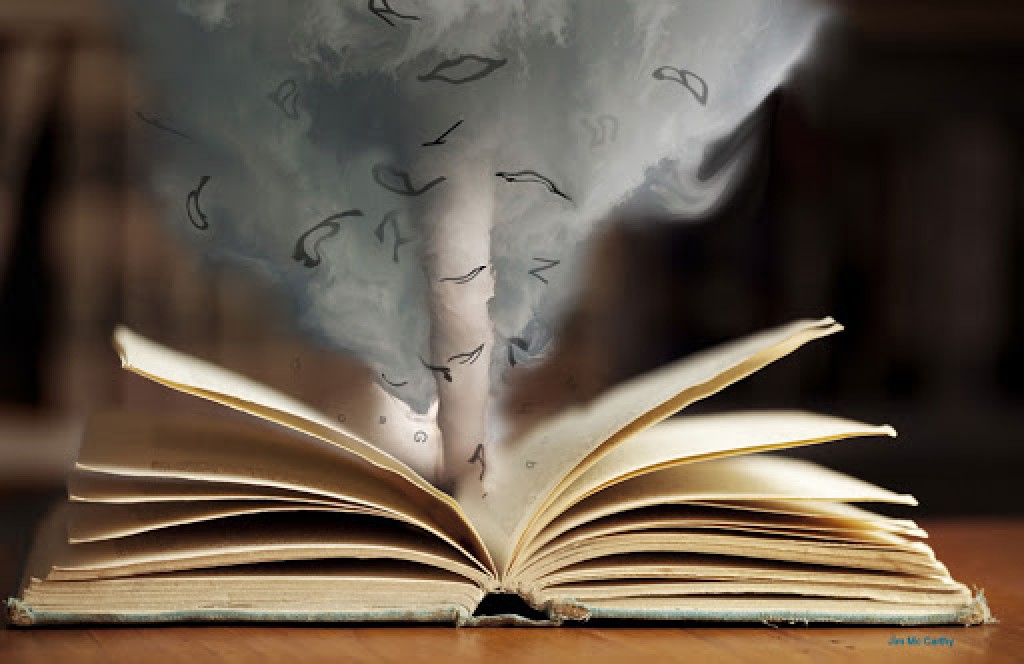 Ayın Kitap Önerileri / Damla Kaçmaz