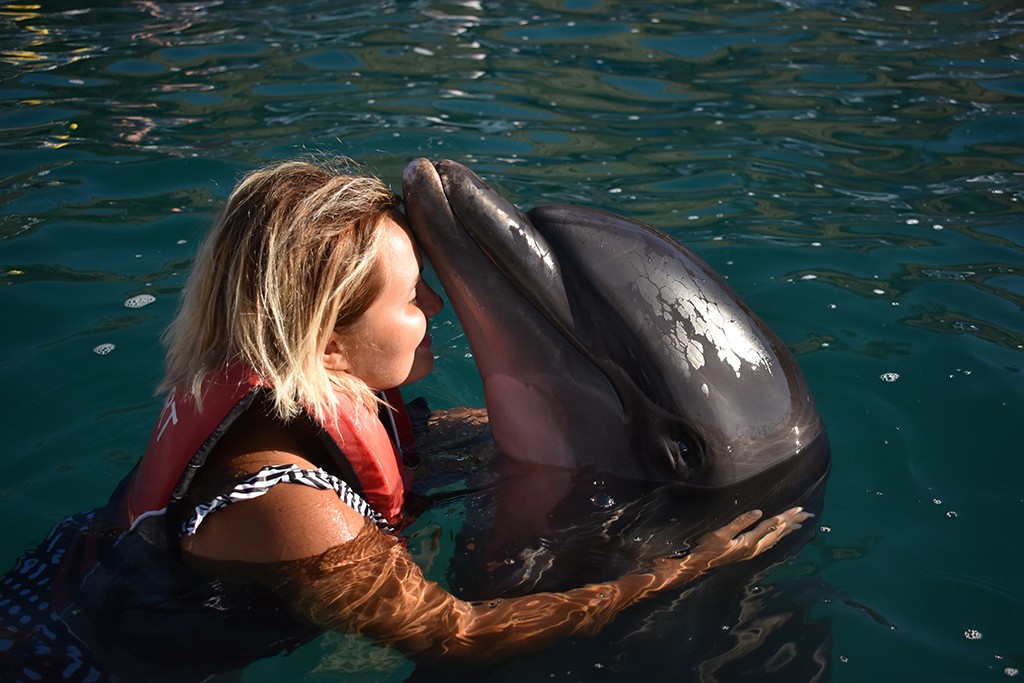 Bodrum Dolphin Park