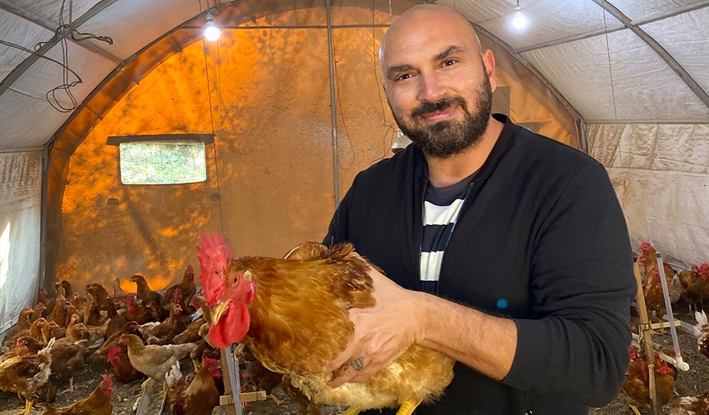 Dileğin Çiftliği Bu Tavuğu Yemeye Doyulmuyor