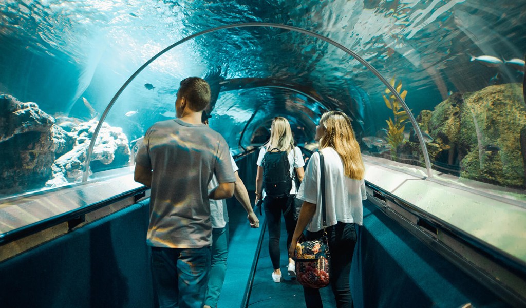 Sea Life İstanbul