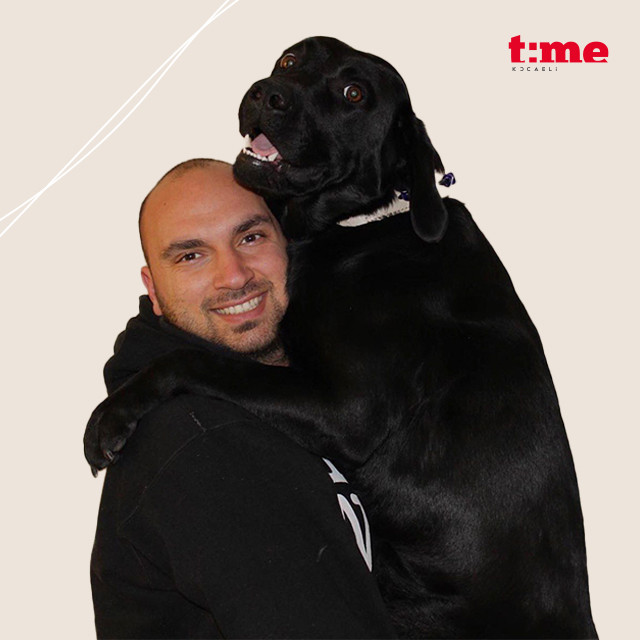 Tolga Tamer
